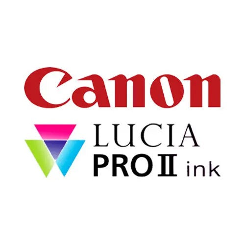 Canon PFI-3700PGY Photo Grey Genuine Ink Cartridge 700ml 6453C001AA PFI3700PGY - Canon PFI-3700 Ink